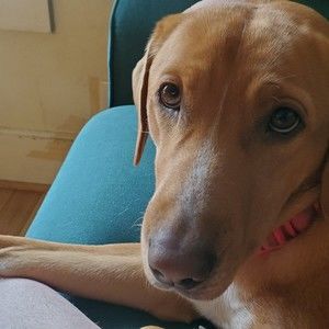 Meet your Posher, Deb